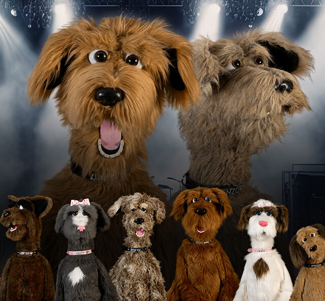Six hand puppet dogs from The Underdogs Show Unmuzzled