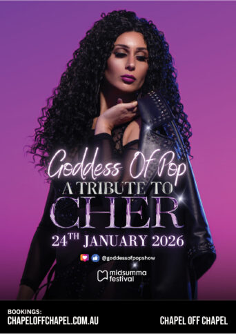 Artist wearing a black jacket with long black curly looking very much like the singer Cher