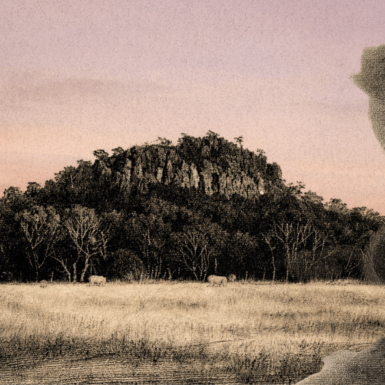 Picnic at Hanging Rock